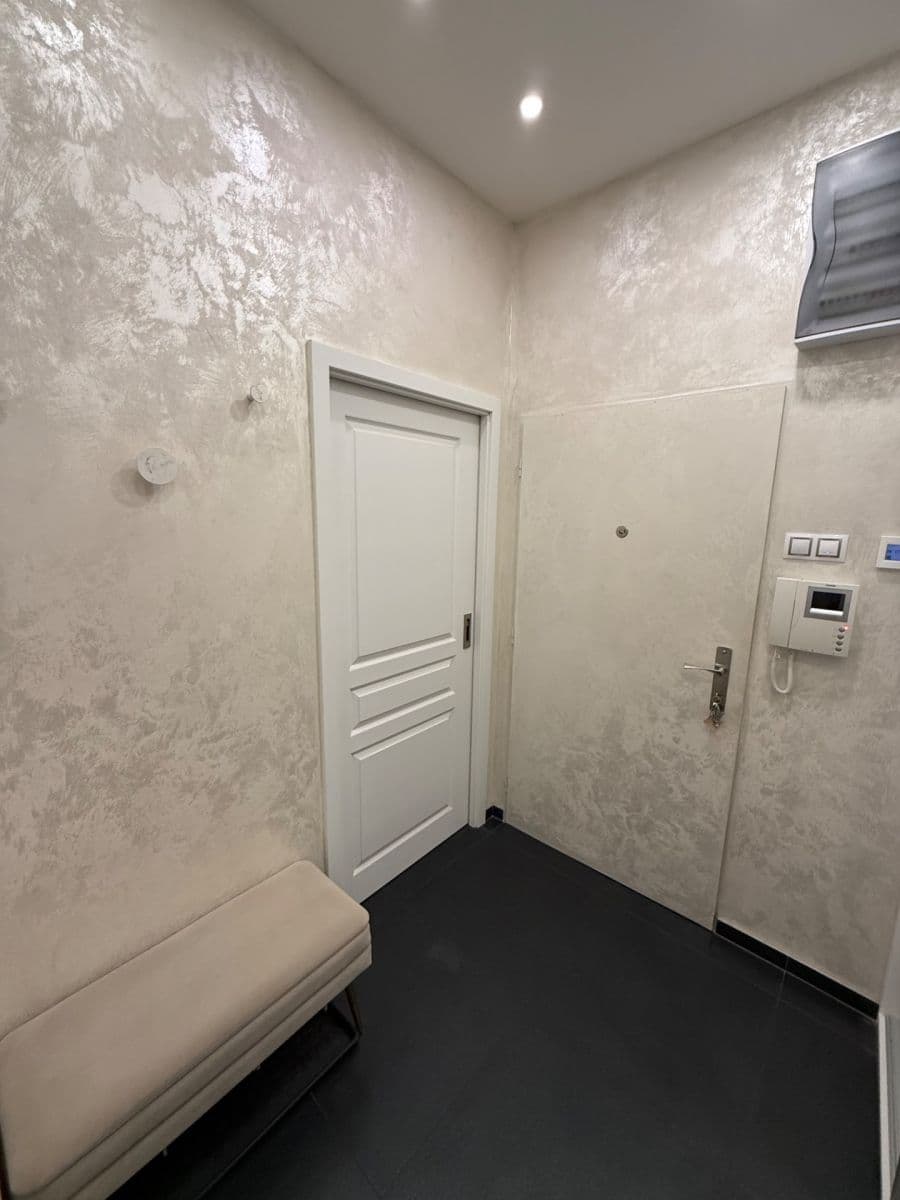 1 bedroom with open-plan kitchen flat to rent, 53 m², U Svobodárny, Prague, Prague 1 bedroom with open-plan kitchen flat to rent, 53 m², U Svobodárny, Prague, Prague