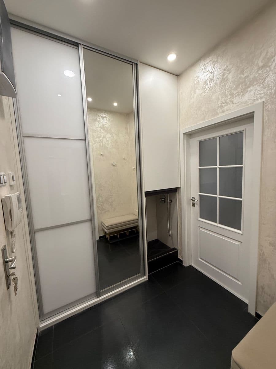 1 bedroom with open-plan kitchen flat to rent, 53 m², U Svobodárny, Prague, Prague 1 bedroom with open-plan kitchen flat to rent, 53 m², U Svobodárny, Prague, Prague