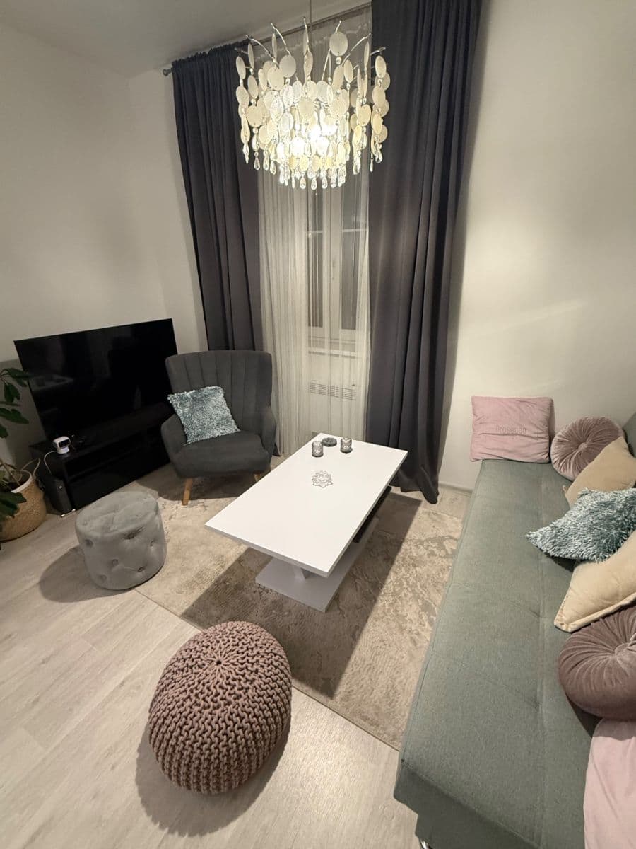 1 bedroom with open-plan kitchen flat to rent, 53 m², U Svobodárny, Prague, Prague 1 bedroom with open-plan kitchen flat to rent, 53 m², U Svobodárny, Prague, Prague