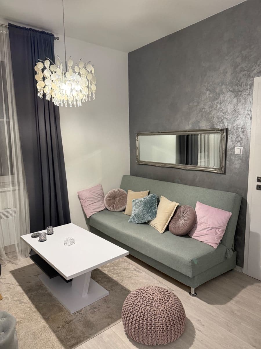 1 bedroom with open-plan kitchen flat to rent, 53 m², U Svobodárny, Prague, Prague 1 bedroom with open-plan kitchen flat to rent, 53 m², U Svobodárny, Prague, Prague