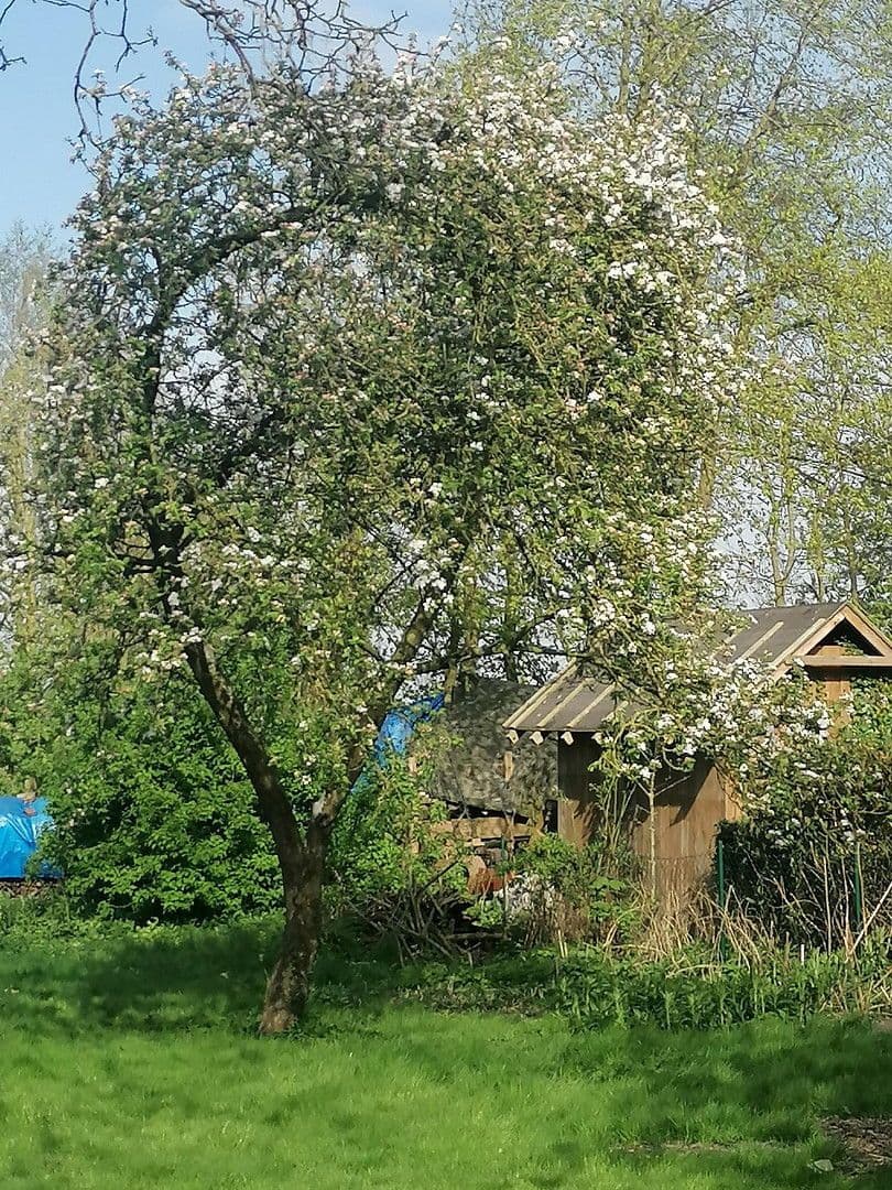 plot for sale, 800 m², Butjadingen, Lower Saxony plot for sale, 800 m², Butjadingen, Lower Saxony