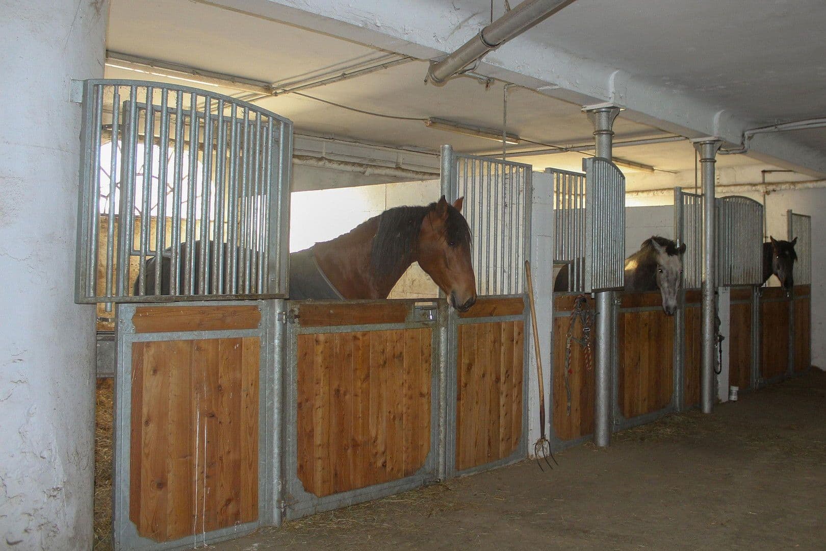 house for sale, 380 m², Domäne Hünkemann 1, Wurster Nordseeküste, Lower Saxony house for sale, 380 m², Domäne Hünkemann 1, Wurster Nordseeküste, Lower Saxony