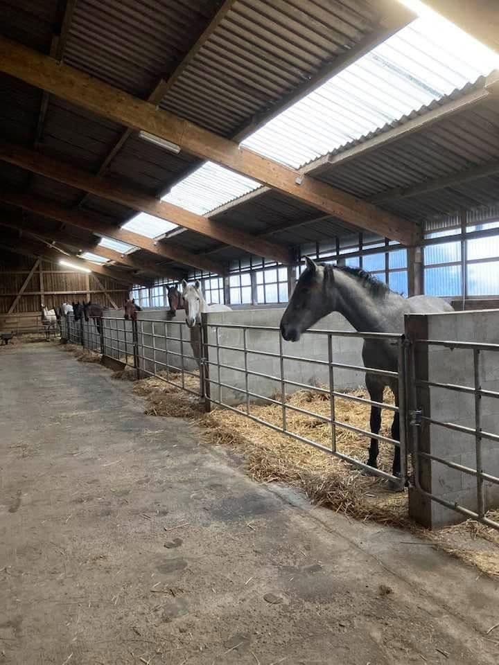 house for sale, 380 m², Domäne Hünkemann 1, Wurster Nordseeküste, Lower Saxony house for sale, 380 m², Domäne Hünkemann 1, Wurster Nordseeküste, Lower Saxony