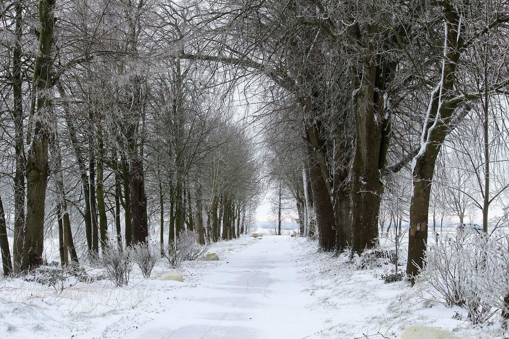 house for sale, 380 m², Domäne Hünkemann 1, Wurster Nordseeküste, Lower Saxony house for sale, 380 m², Domäne Hünkemann 1, Wurster Nordseeküste, Lower Saxony