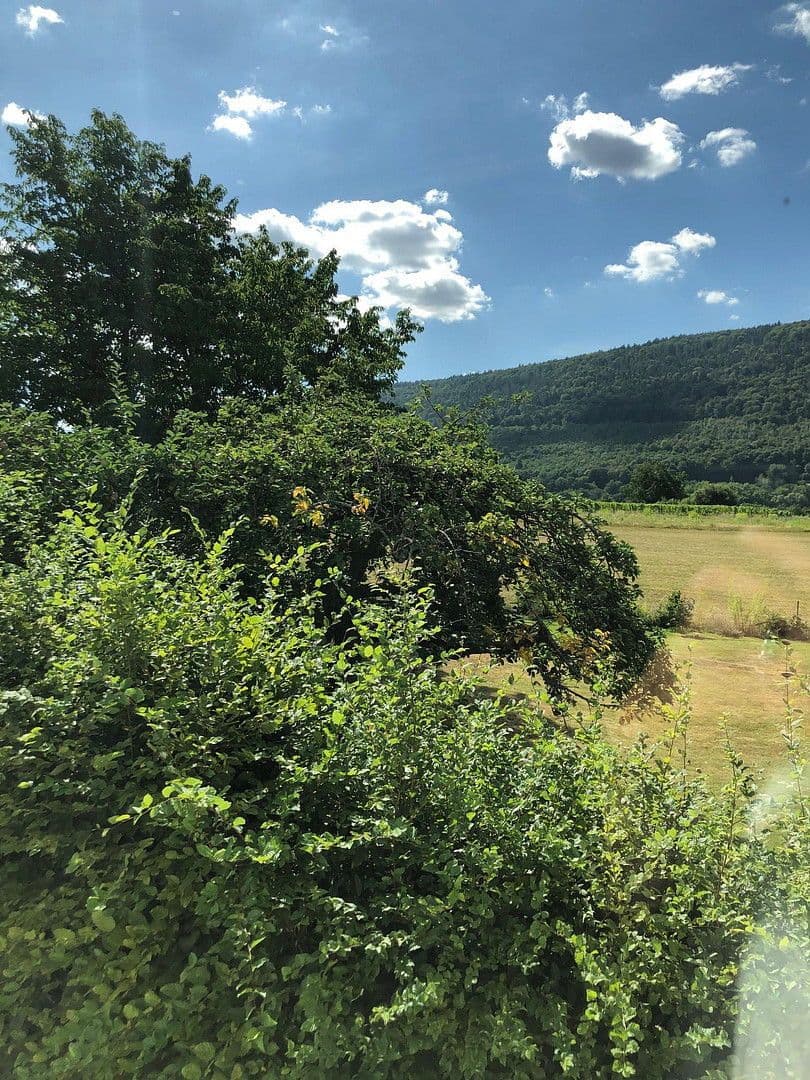 house to rent, 300 m², Bürgstadt, Bavaria house to rent, 300 m², Bürgstadt, Bavaria