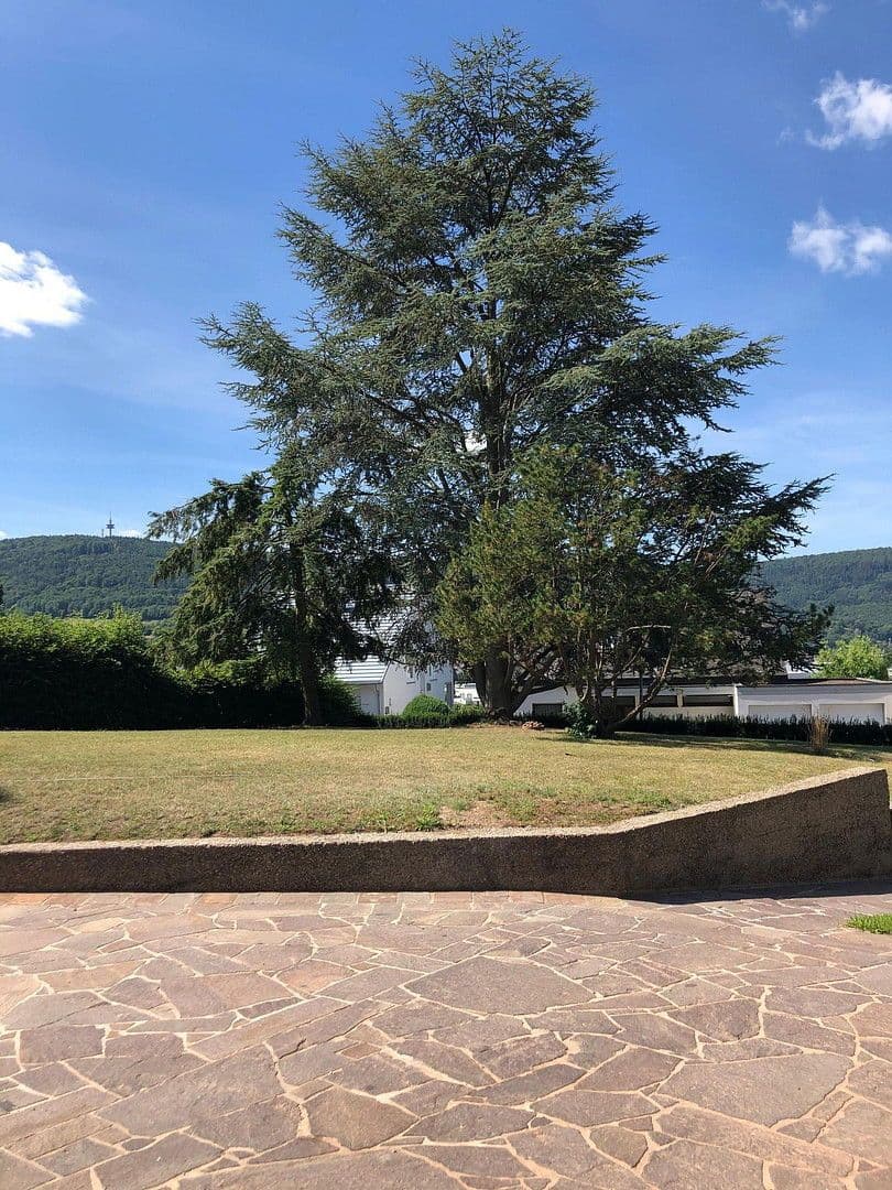 house to rent, 300 m², Bürgstadt, Bavaria house to rent, 300 m², Bürgstadt, Bavaria