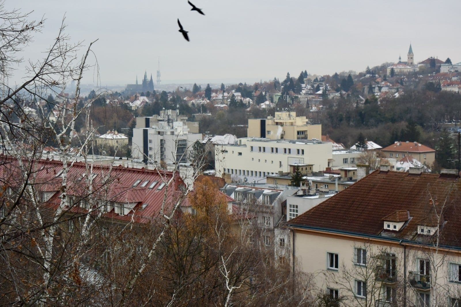 2 bedroom flat to rent, 54 m², Kamerunská, Prague, Prague 2 bedroom flat to rent, 54 m², Kamerunská, Prague, Prague