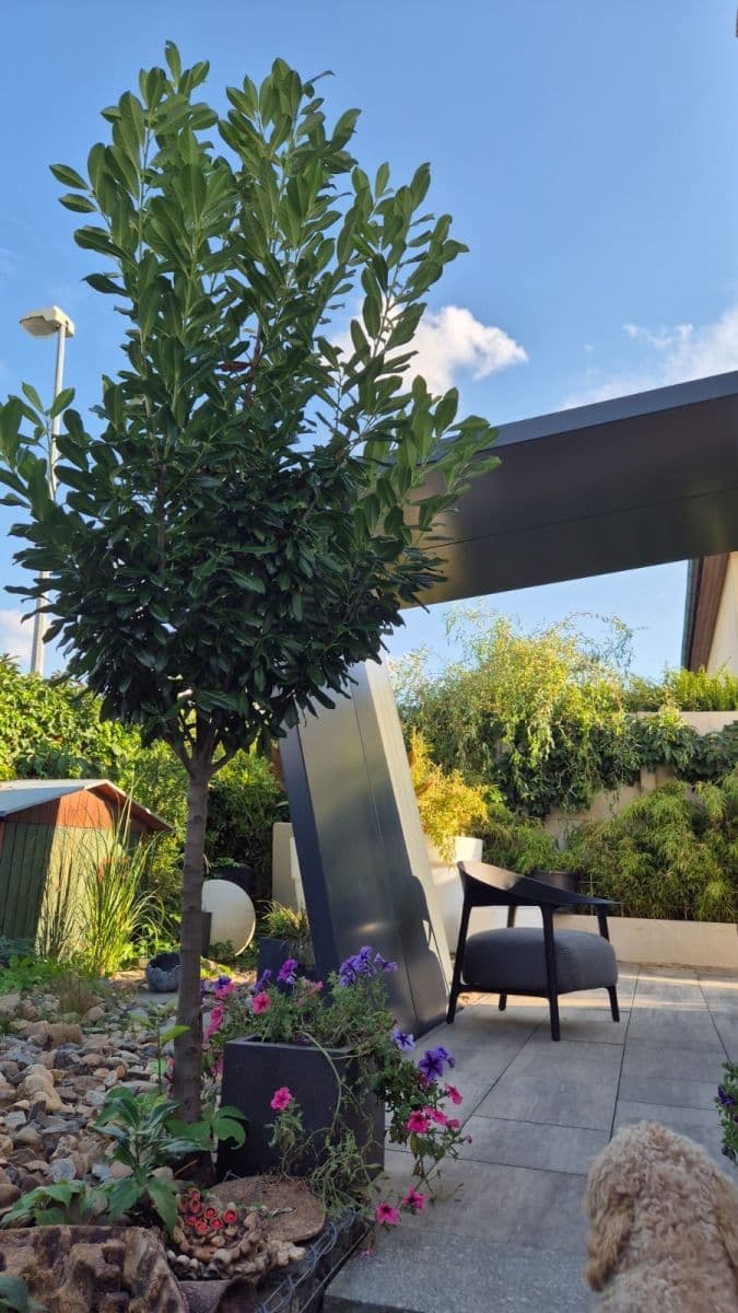 house for sale, 120 m², Felklova, Roztoky, Středočeský Region house for sale, 120 m², Felklova, Roztoky, Středočeský Region