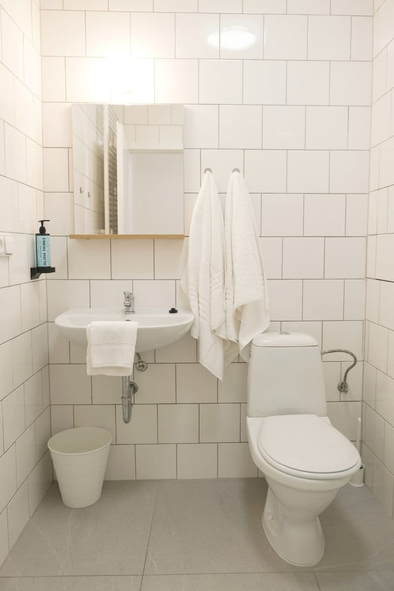 1 bedroom with open-plan kitchen flat to rent, 48 m², Štítného, Prague, Prague 1 bedroom with open-plan kitchen flat to rent, 48 m², Štítného, Prague, Prague