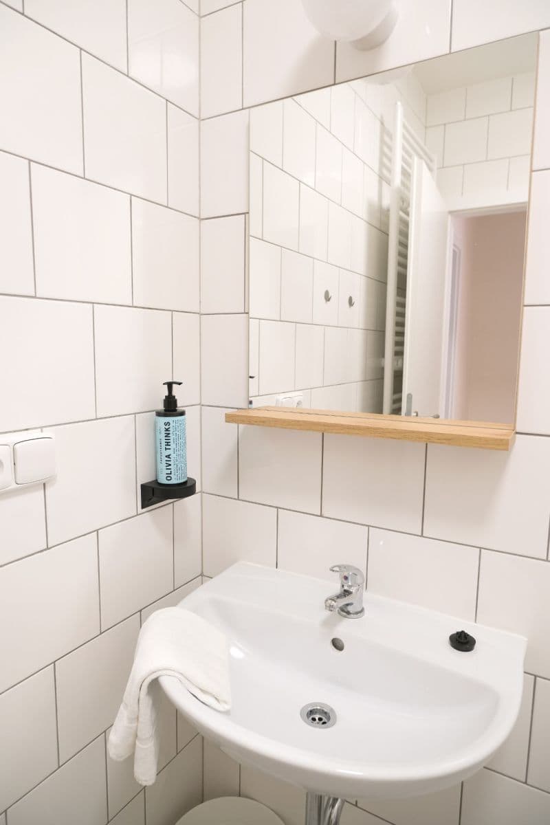 1 bedroom with open-plan kitchen flat to rent, 48 m², Štítného, Prague, Prague 1 bedroom with open-plan kitchen flat to rent, 48 m², Štítného, Prague, Prague