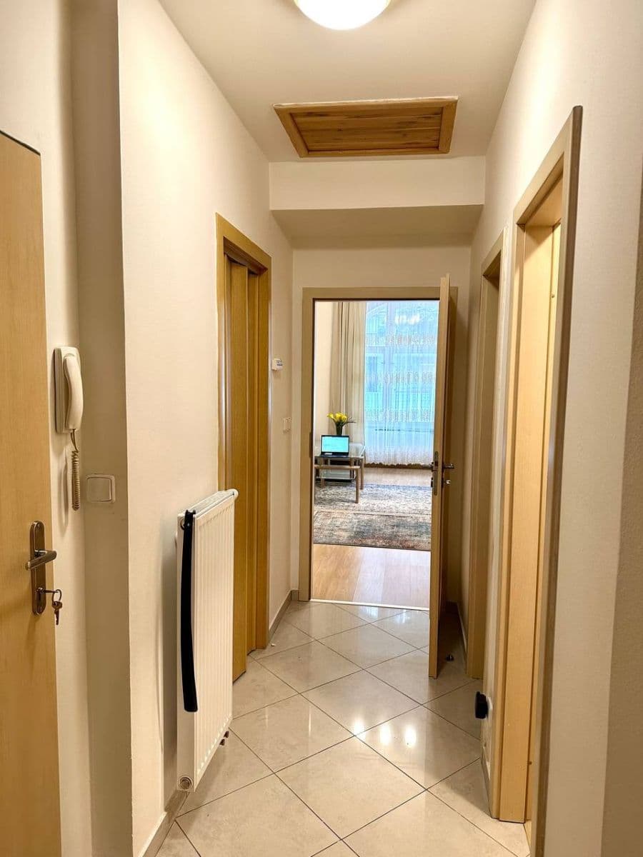 1 bedroom with open-plan kitchen flat to rent, 50 m², Bořivojova, Prague, Prague 1 bedroom with open-plan kitchen flat to rent, 50 m², Bořivojova, Prague, Prague