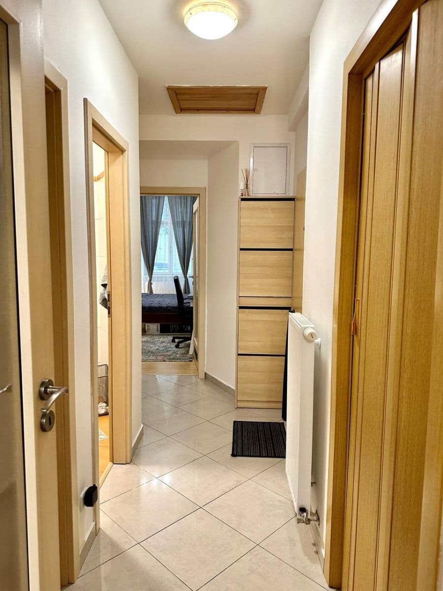 1 bedroom with open-plan kitchen flat to rent, 55 m², Bořivojova, Prague, Prague 1 bedroom with open-plan kitchen flat to rent, 55 m², Bořivojova, Prague, Prague