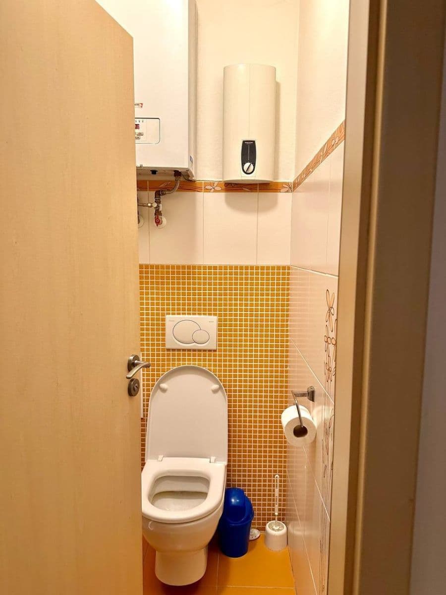 1 bedroom with open-plan kitchen flat to rent, 55 m², Bořivojova, Prague, Prague 1 bedroom with open-plan kitchen flat to rent, 55 m², Bořivojova, Prague, Prague