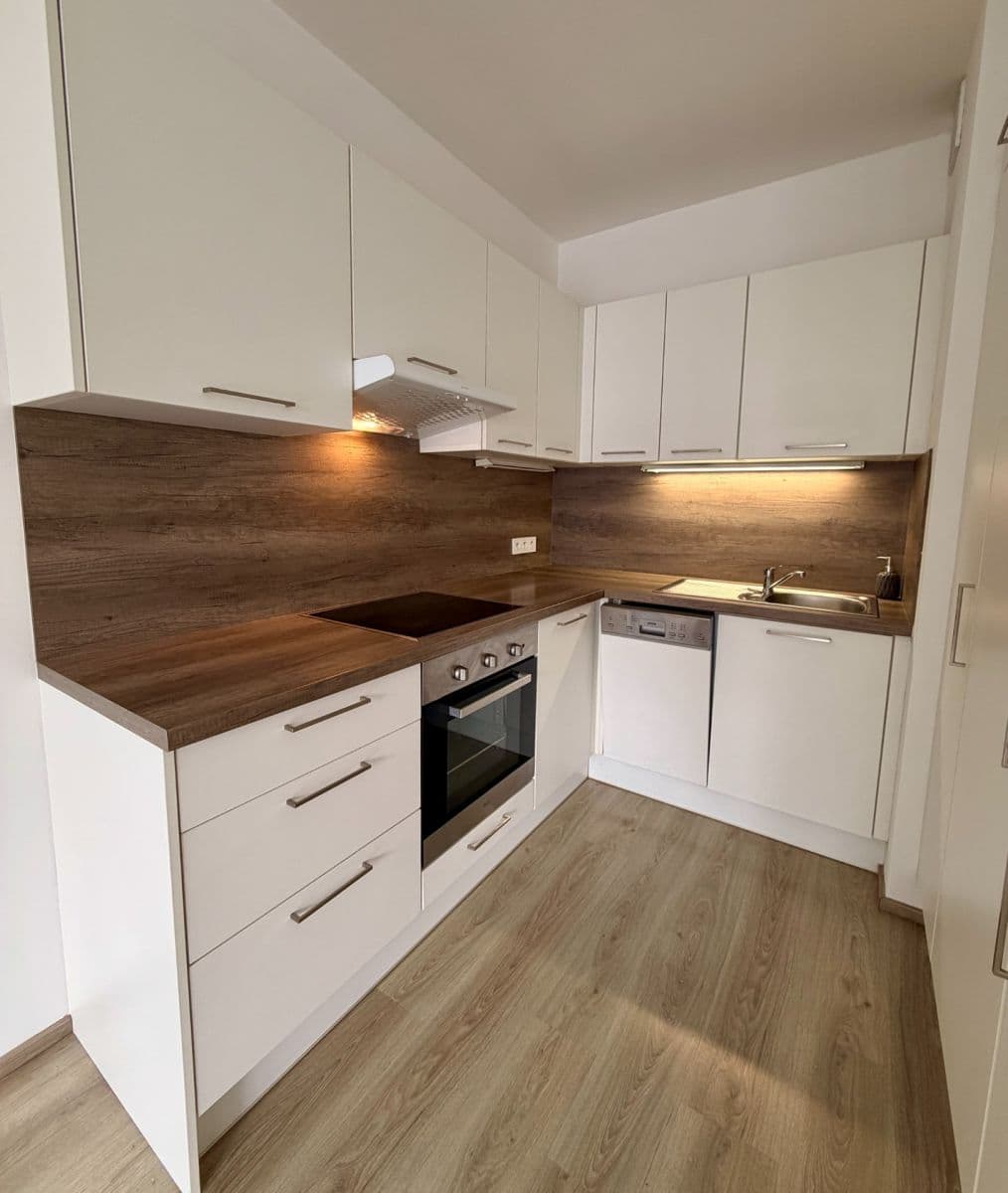 1 bedroom with open-plan kitchen flat to rent, 57 m², Toufarova, Prague, Prague 1 bedroom with open-plan kitchen flat to rent, 57 m², Toufarova, Prague, Prague