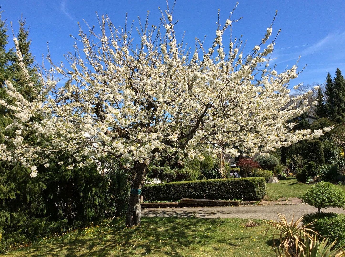 house for sale, 197 m², Böblingen, Baden-Württemberg house for sale, 197 m², Böblingen, Baden-Württemberg