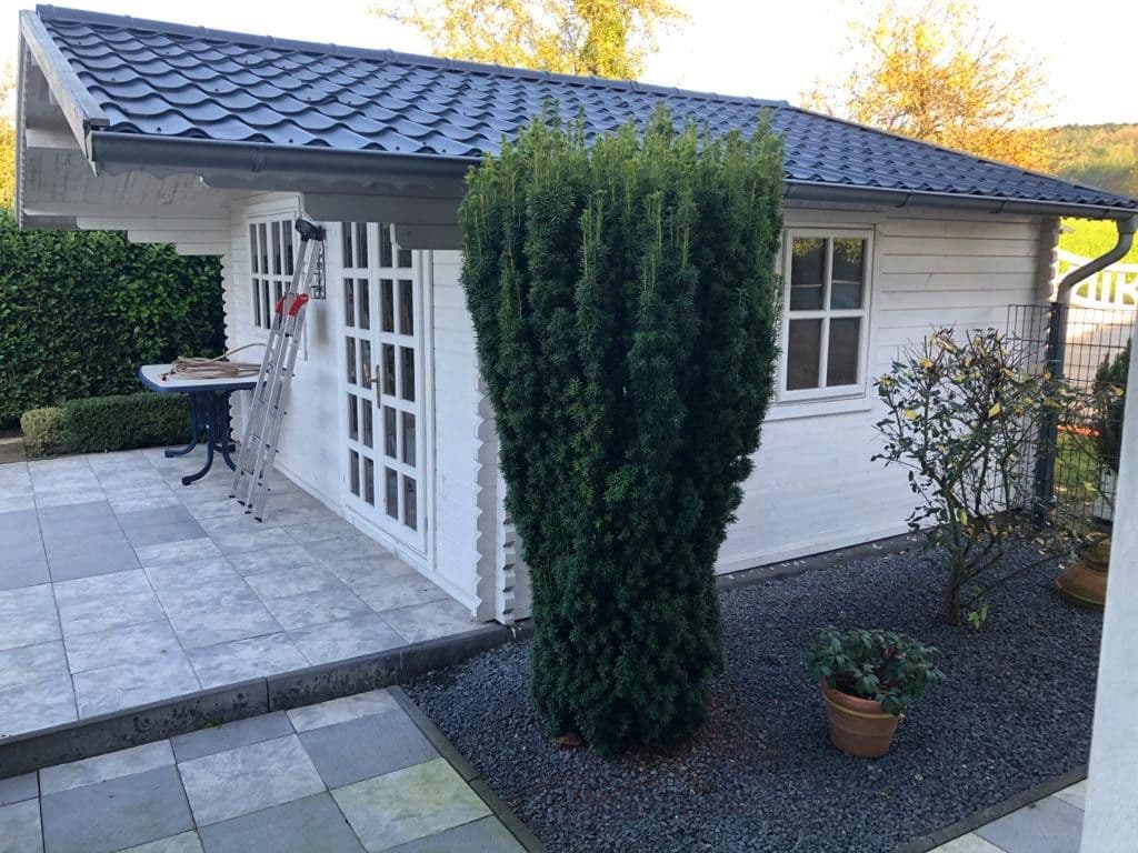 house to rent, 220 m², Einbeck, Lower Saxony house to rent, 220 m², Einbeck, Lower Saxony
