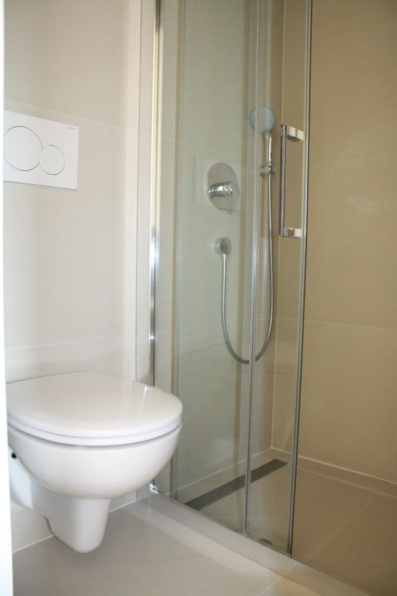 1 bedroom with open-plan kitchen flat to rent, 35 m², Ve Střešovičkách, Prague, Prague 1 bedroom with open-plan kitchen flat to rent, 35 m², Ve Střešovičkách, Prague, Prague