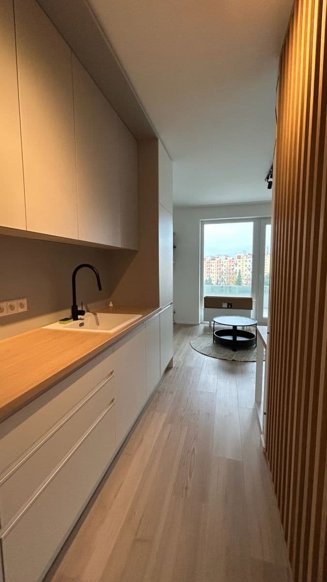 Studio flat to rent, 35 m², třída Generála Píky, Brno, Jihomoravský Region Studio flat to rent, 35 m², třída Generála Píky, Brno, Jihomoravský Region