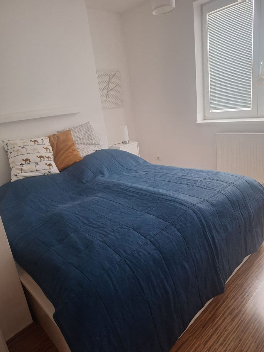 1 bedroom with open-plan kitchen flat to rent, 53 m², Karpatská, Prague, Prague 1 bedroom with open-plan kitchen flat to rent, 53 m², Karpatská, Prague, Prague