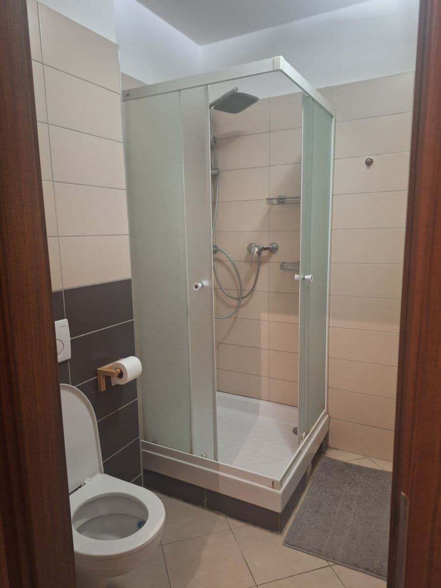 1 bedroom with open-plan kitchen flat to rent, 53 m², Karpatská, Prague, Prague 1 bedroom with open-plan kitchen flat to rent, 53 m², Karpatská, Prague, Prague