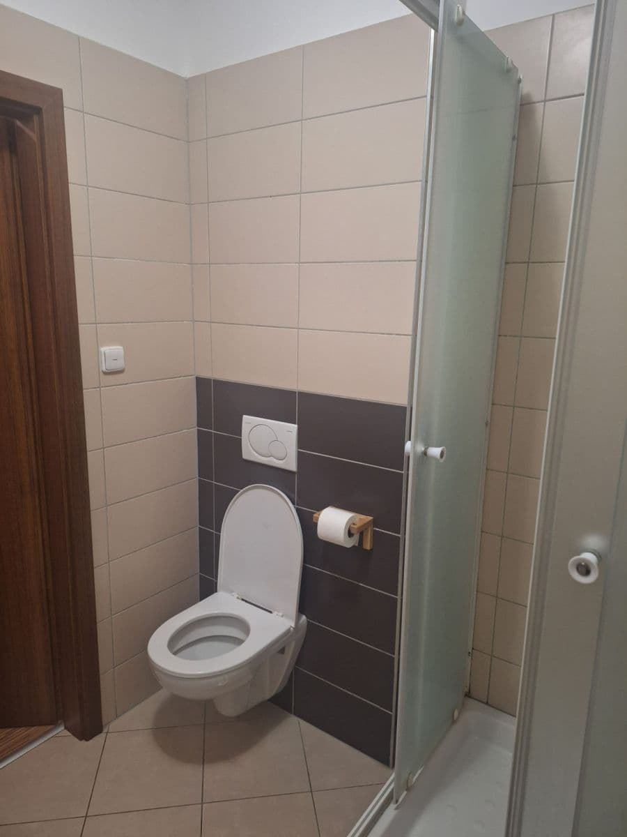 1 bedroom with open-plan kitchen flat to rent, 53 m², Karpatská, Prague, Prague 1 bedroom with open-plan kitchen flat to rent, 53 m², Karpatská, Prague, Prague