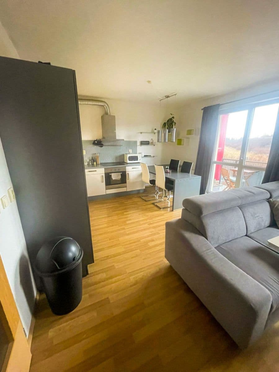 1 bedroom with open-plan kitchen flat to rent, 60 m², Františka Diviše, Prague, Prague 1 bedroom with open-plan kitchen flat to rent, 60 m², Františka Diviše, Prague, Prague