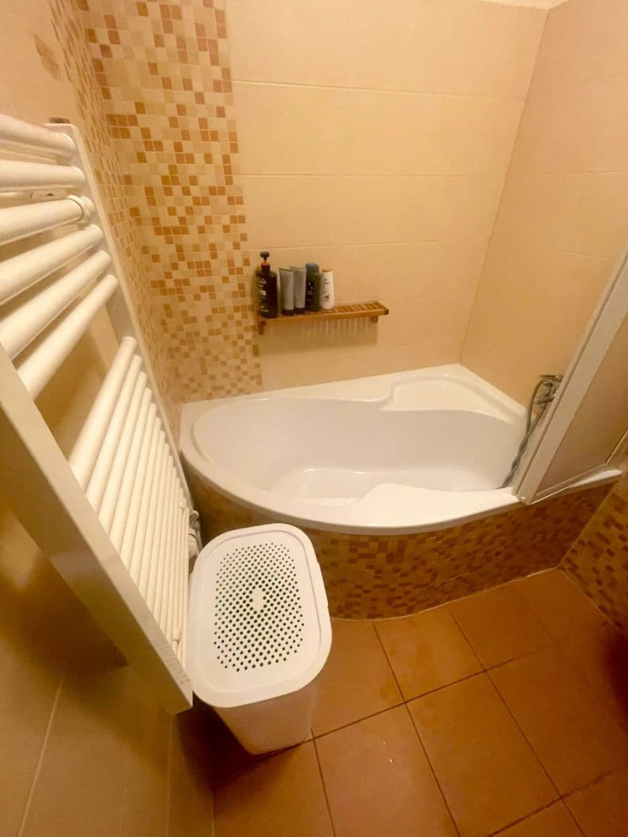 1 bedroom with open-plan kitchen flat to rent, 60 m², Františka Diviše, Prague, Prague 1 bedroom with open-plan kitchen flat to rent, 60 m², Františka Diviše, Prague, Prague