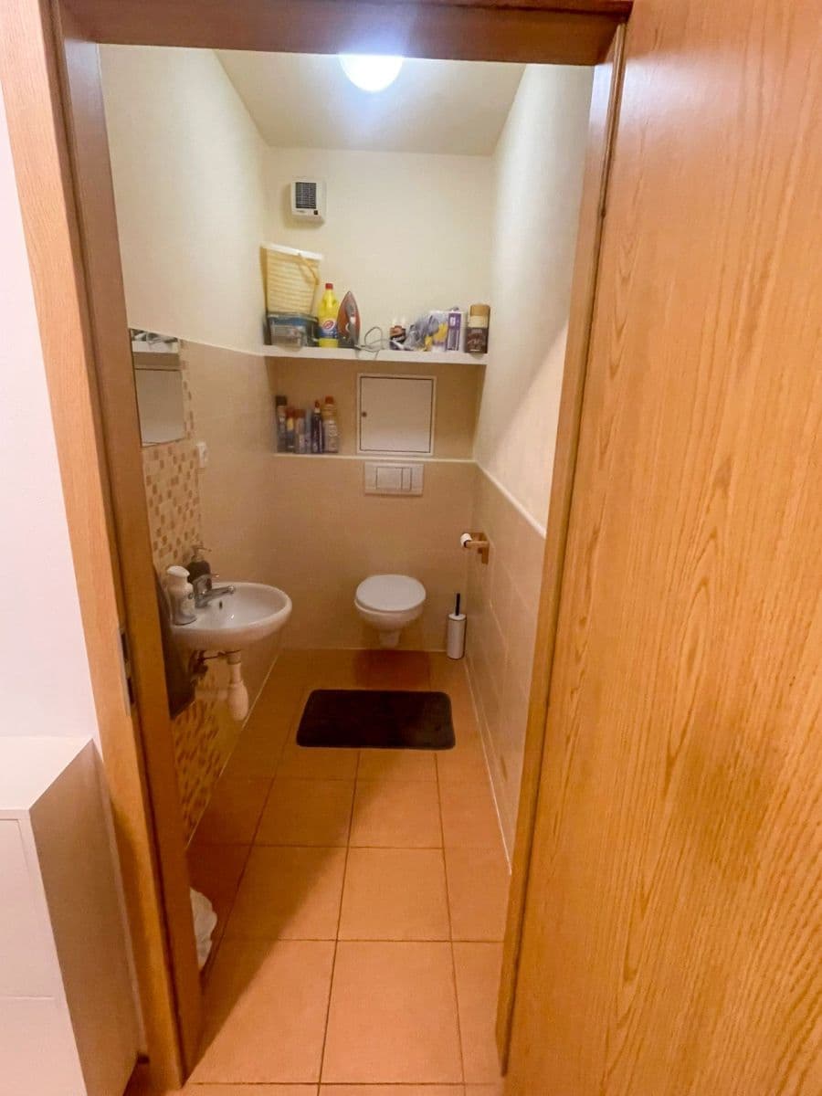 1 bedroom with open-plan kitchen flat to rent, 60 m², Františka Diviše, Prague, Prague 1 bedroom with open-plan kitchen flat to rent, 60 m², Františka Diviše, Prague, Prague