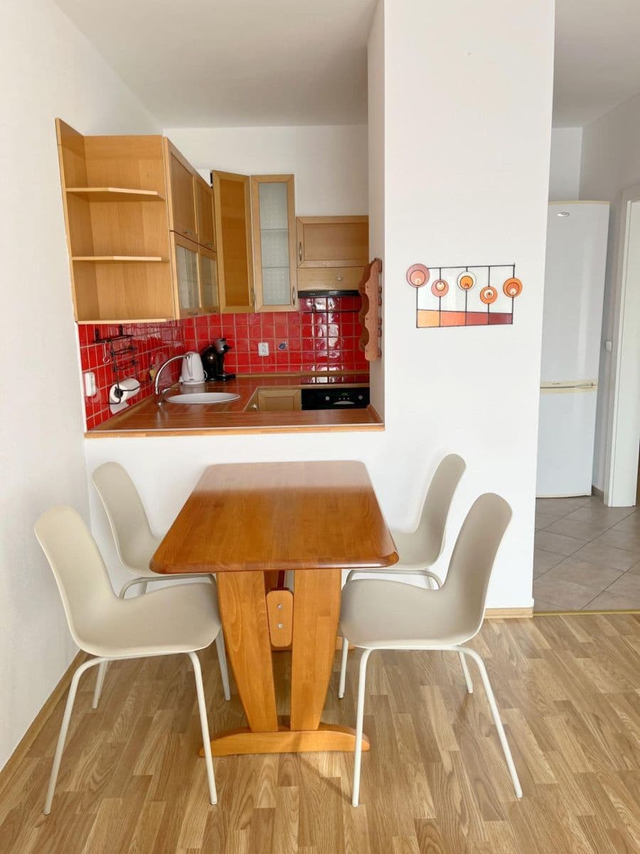 1 bedroom with open-plan kitchen flat to rent, 53 m², Prorektorská, Prague, Prague 1 bedroom with open-plan kitchen flat to rent, 53 m², Prorektorská, Prague, Prague