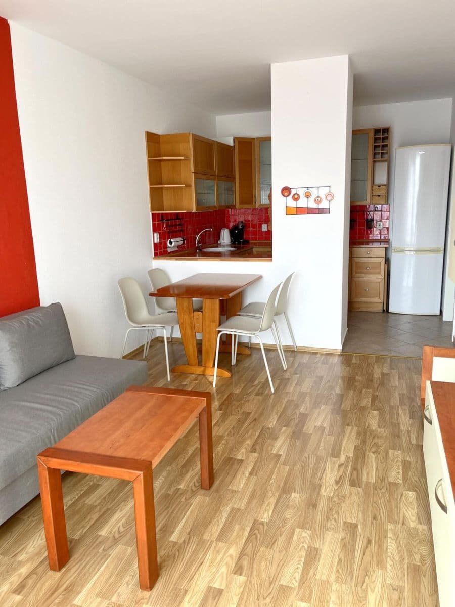 1 bedroom with open-plan kitchen flat to rent, 53 m², Prorektorská, Prague, Prague 1 bedroom with open-plan kitchen flat to rent, 53 m², Prorektorská, Prague, Prague