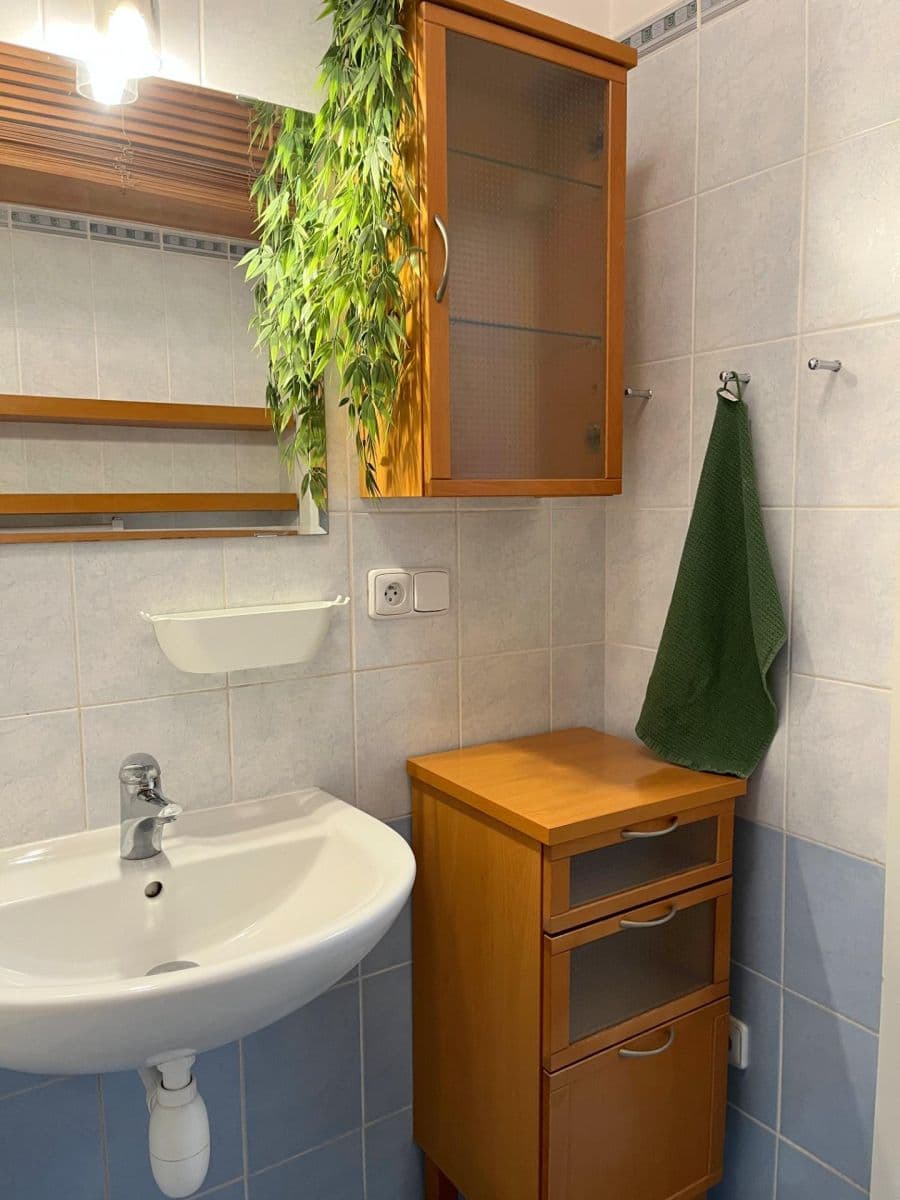 1 bedroom with open-plan kitchen flat to rent, 53 m², Prorektorská, Prague, Prague 1 bedroom with open-plan kitchen flat to rent, 53 m², Prorektorská, Prague, Prague