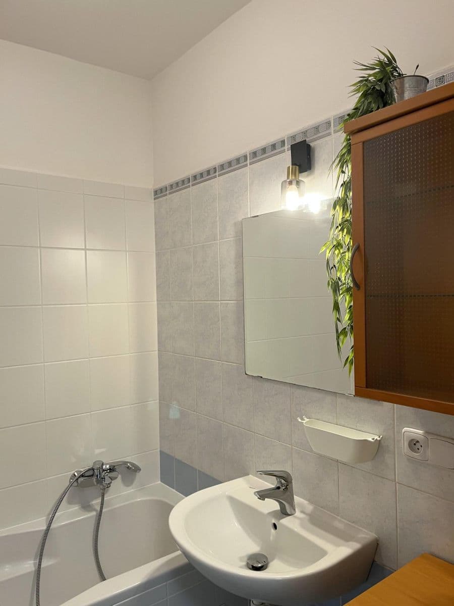 1 bedroom with open-plan kitchen flat to rent, 53 m², Prorektorská, Prague, Prague 1 bedroom with open-plan kitchen flat to rent, 53 m², Prorektorská, Prague, Prague