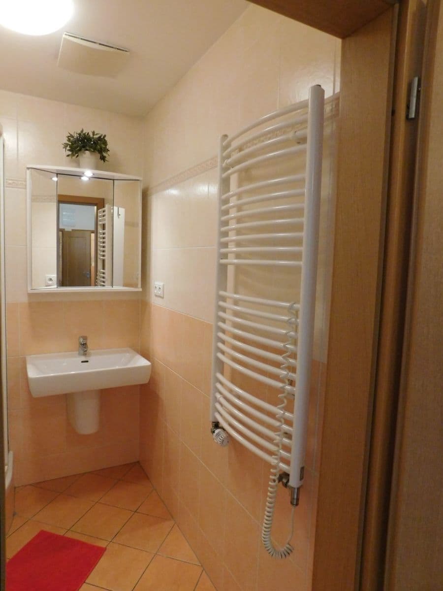 1 bedroom with open-plan kitchen flat to rent, 44 m², U Měšťanského pivovaru, Prague, Prague 1 bedroom with open-plan kitchen flat to rent, 44 m², U Měšťanského pivovaru, Prague, Prague