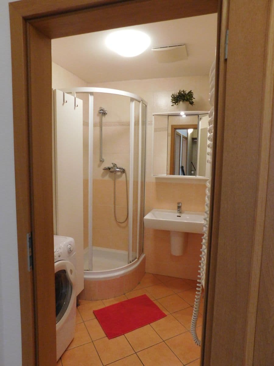 1 bedroom with open-plan kitchen flat to rent, 44 m², U Měšťanského pivovaru, Prague, Prague 1 bedroom with open-plan kitchen flat to rent, 44 m², U Měšťanského pivovaru, Prague, Prague