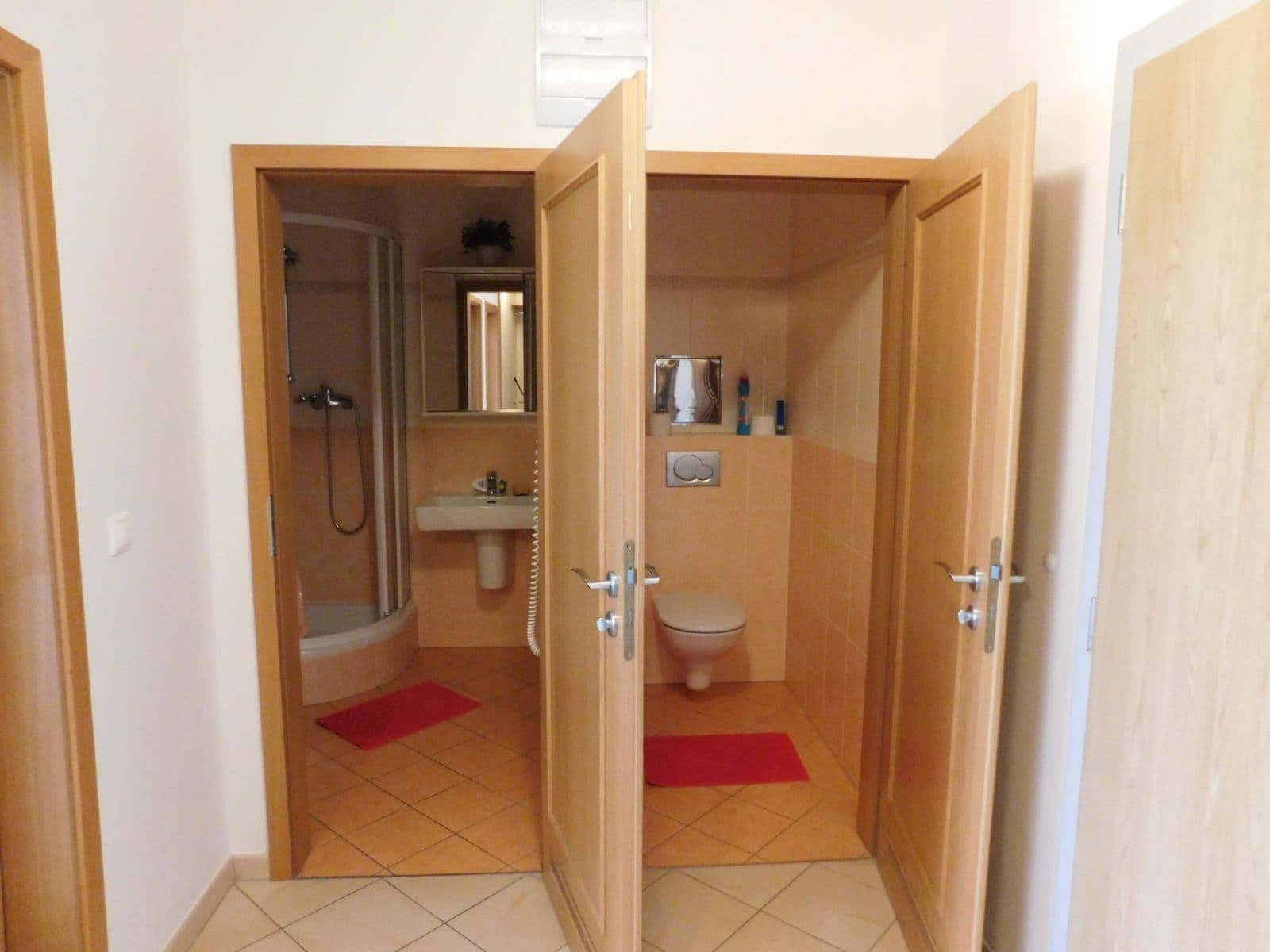 1 bedroom with open-plan kitchen flat to rent, 44 m², U Měšťanského pivovaru, Prague, Prague 1 bedroom with open-plan kitchen flat to rent, 44 m², U Měšťanského pivovaru, Prague, Prague