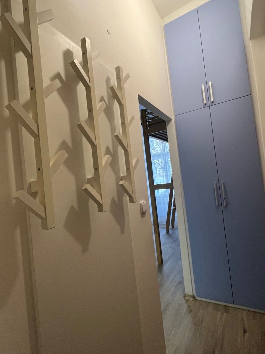 Studio flat to rent, 20 m², Wenzigova, Prague, Prague Studio flat to rent, 20 m², Wenzigova, Prague, Prague