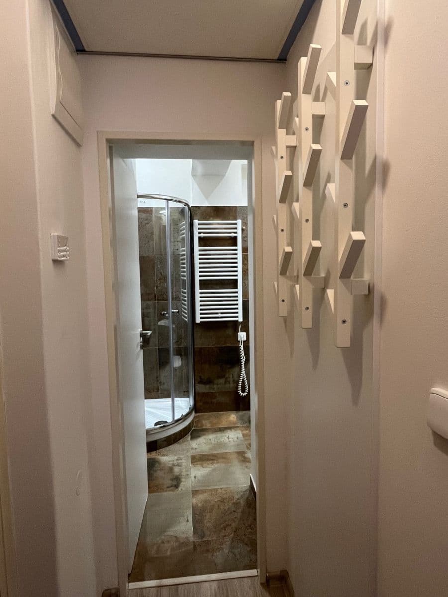 Studio flat to rent, 20 m², Wenzigova, Prague, Prague Studio flat to rent, 20 m², Wenzigova, Prague, Prague