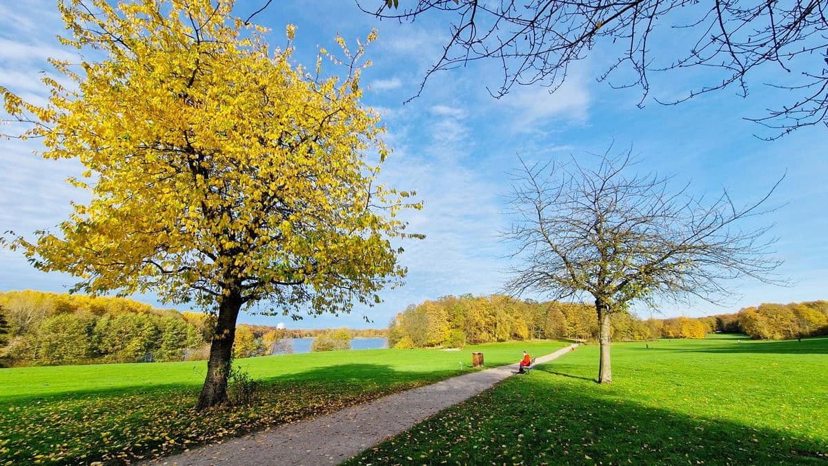 house for sale, 126 m², Hamburg, Hamburg house for sale, 126 m², Hamburg, Hamburg