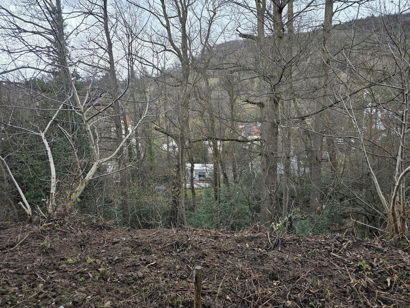 house for sale, 231 m², Heidelberg, Baden-Württemberg house for sale, 231 m², Heidelberg, Baden-Württemberg