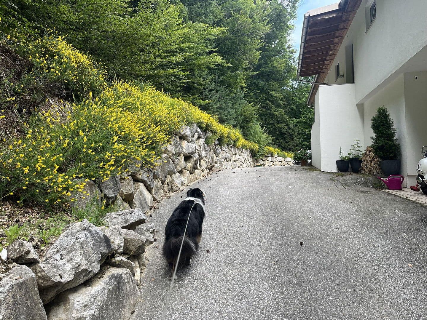 3 bedroom flat for sale, 150 m², Köstenberger Strasse 149, Velden-Kranzlhofen, Carinthia 3 bedroom flat for sale, 150 m², Köstenberger Strasse 149, Velden-Kranzlhofen, Carinthia