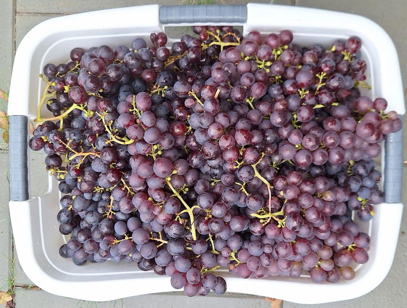 house for sale, 181 m², Bremen, Bremen house for sale, 181 m², Bremen, Bremen