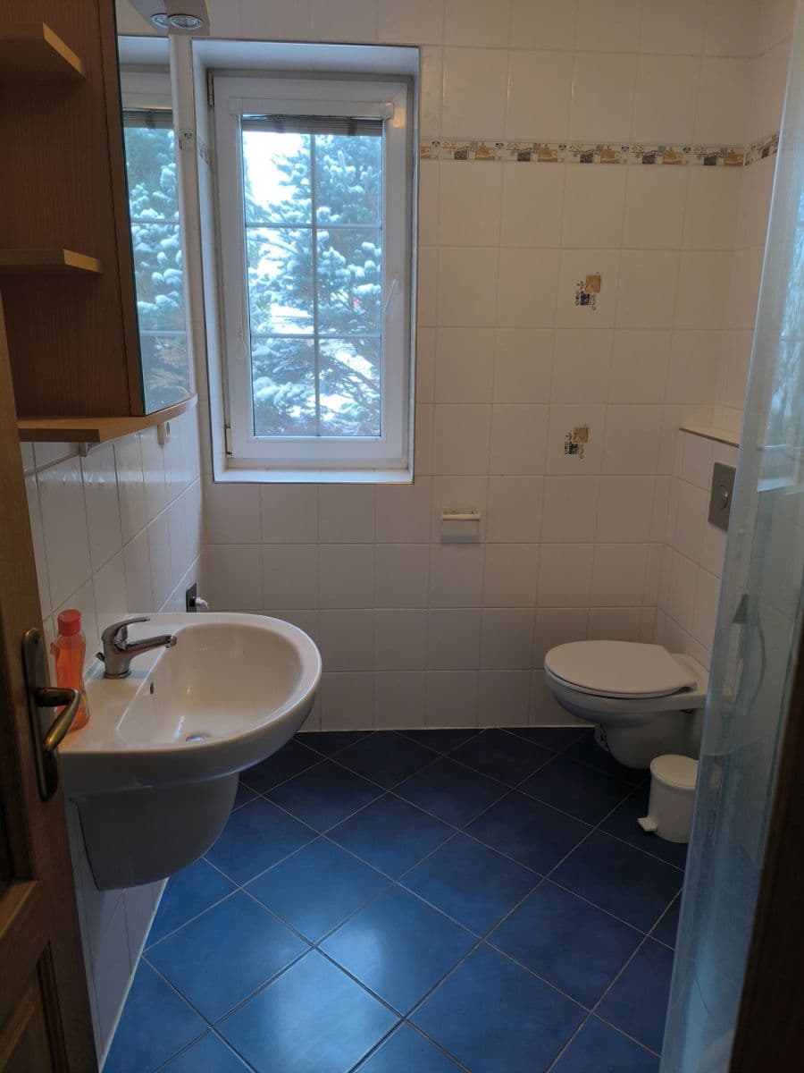 1 bedroom flat to rent, 36 m², Sadová, České Budějovice, Jihočeský Region 1 bedroom flat to rent, 36 m², Sadová, České Budějovice, Jihočeský Region