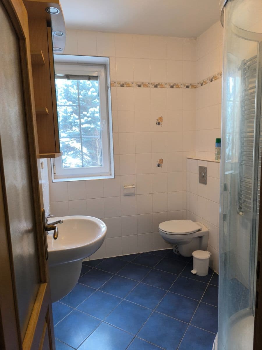 1 bedroom flat to rent, 36 m², Sadová, České Budějovice, Jihočeský Region 1 bedroom flat to rent, 36 m², Sadová, České Budějovice, Jihočeský Region