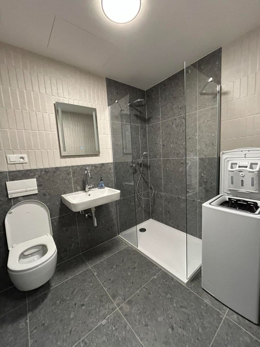 Studio flat to rent, 35 m², Bratislavská, Brno, Jihomoravský Region Studio flat to rent, 35 m², Bratislavská, Brno, Jihomoravský Region