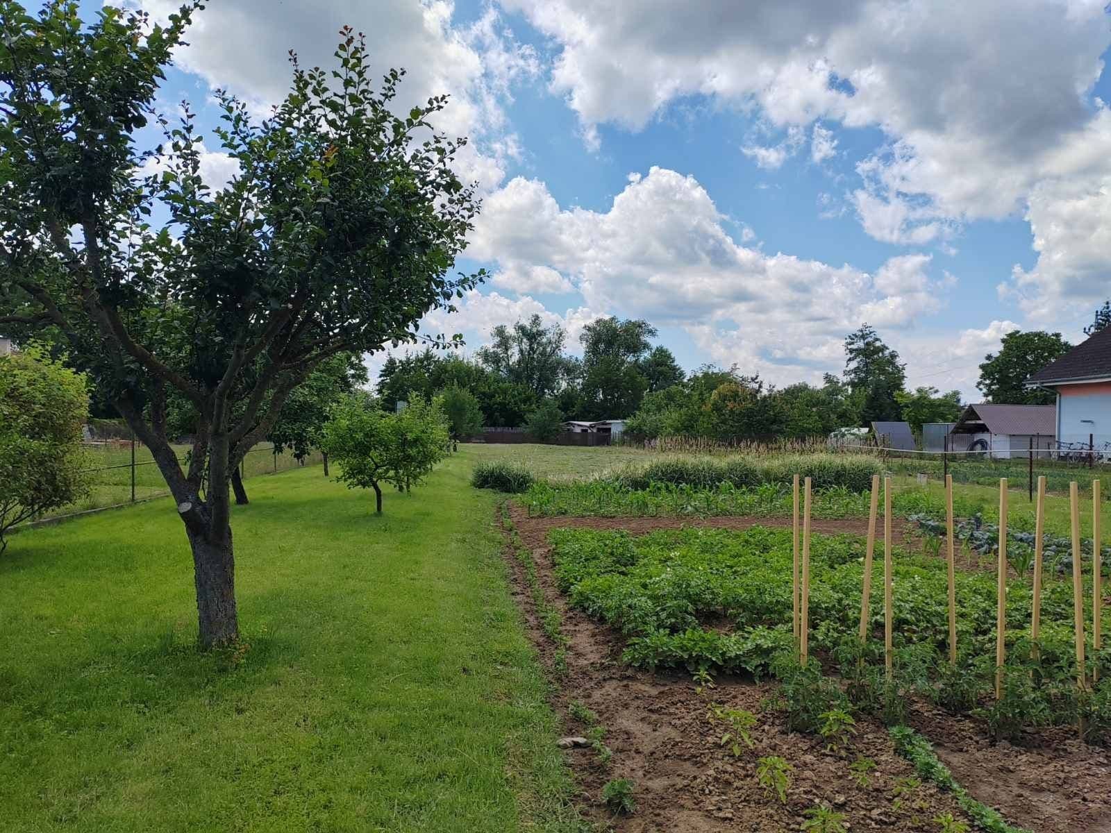 house for sale, 112 m², Májová, Jacovce, Nitriansky Region house for sale, 112 m², Májová, Jacovce, Nitriansky Region