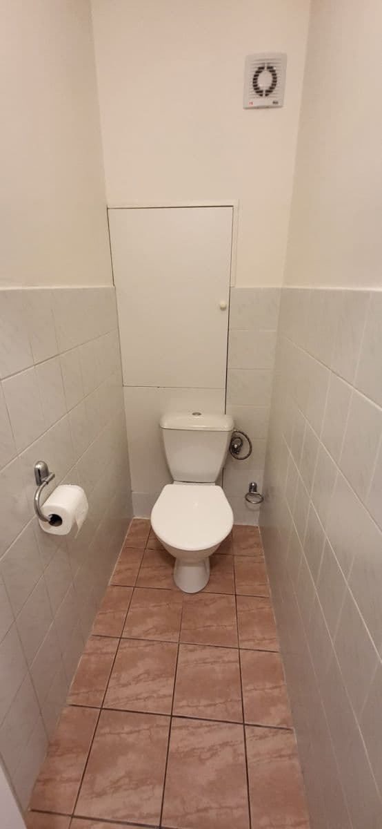 1 bedroom with open-plan kitchen flat to rent, 45 m², Přádova, Prague, Prague 1 bedroom with open-plan kitchen flat to rent, 45 m², Přádova, Prague, Prague