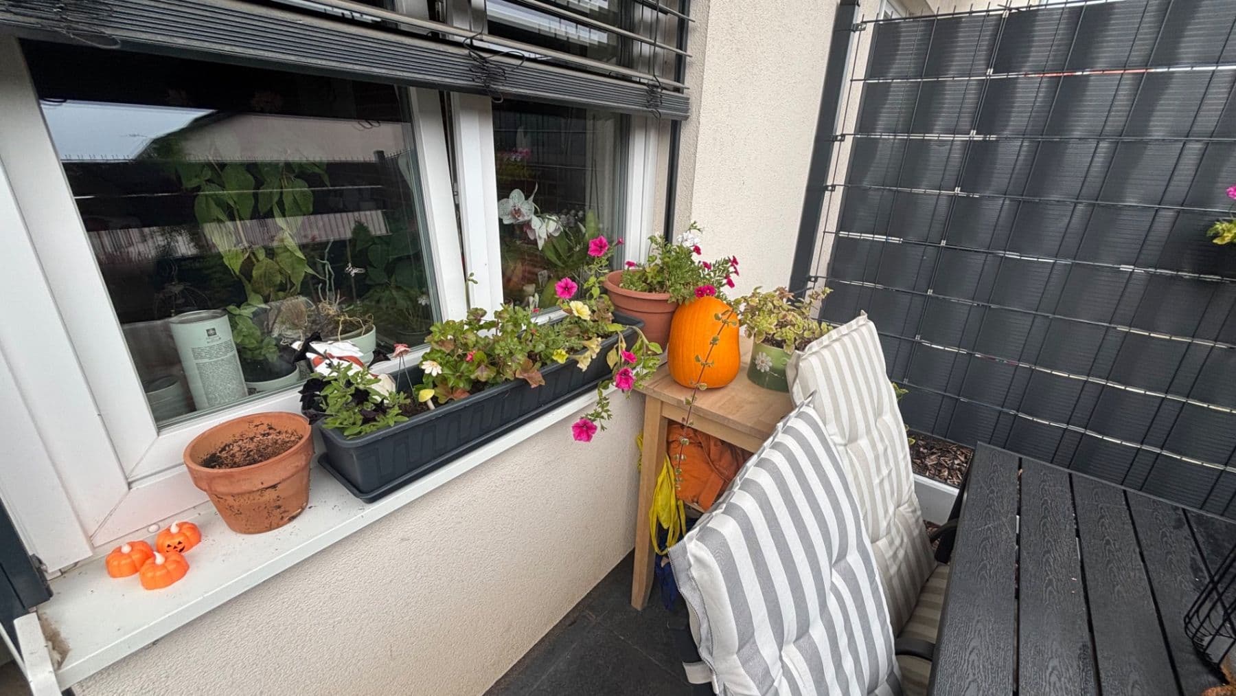 Studio flat to rent, 35 m², Uherova, Chýně, Středočeský Region Studio flat to rent, 35 m², Uherova, Chýně, Středočeský Region