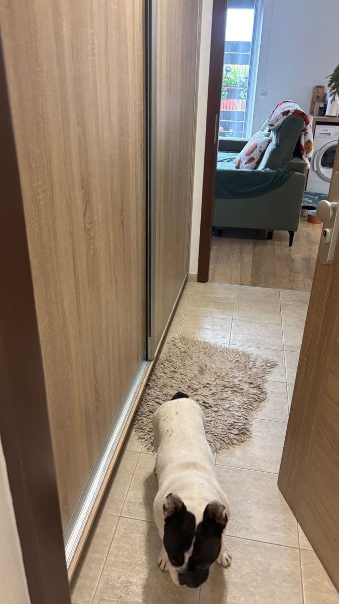 Studio flat to rent, 35 m², Uherova, Chýně, Středočeský Region Studio flat to rent, 35 m², Uherova, Chýně, Středočeský Region