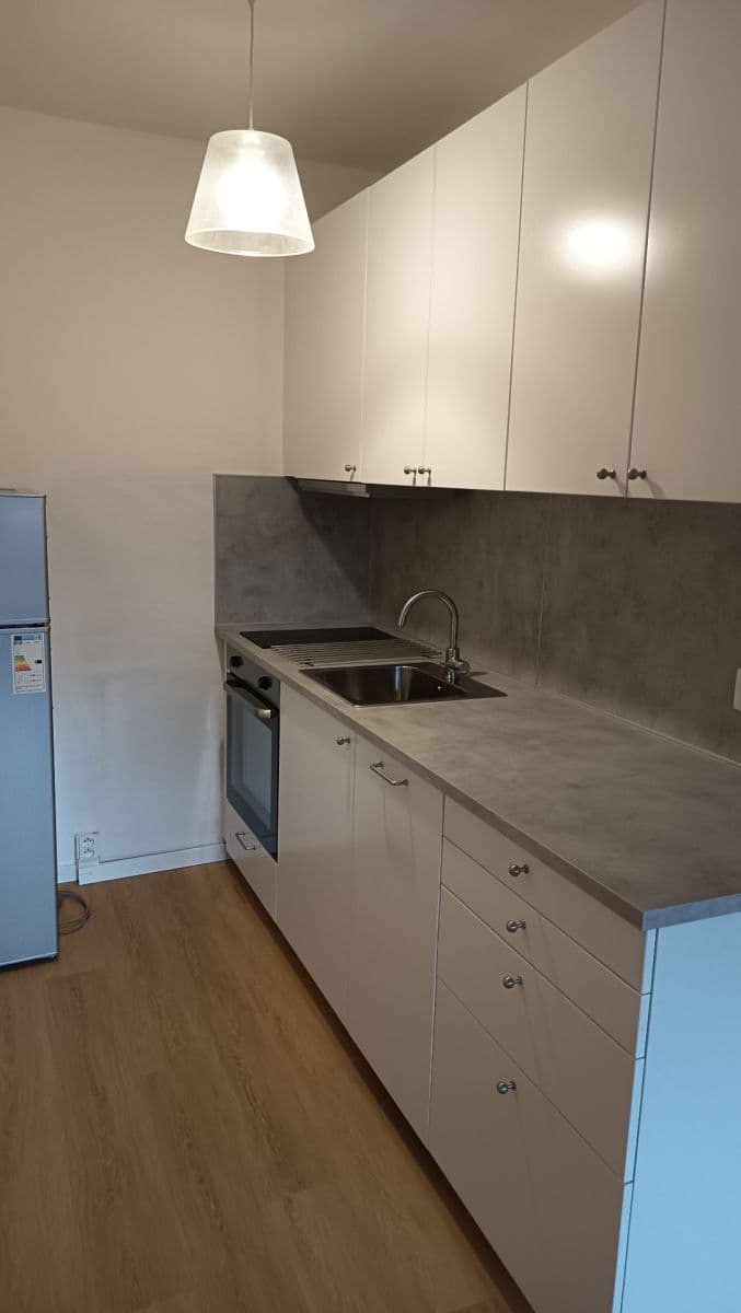 1 bedroom with open-plan kitchen flat to rent, 46 m², Famfulíkova, Prague, Prague 1 bedroom with open-plan kitchen flat to rent, 46 m², Famfulíkova, Prague, Prague