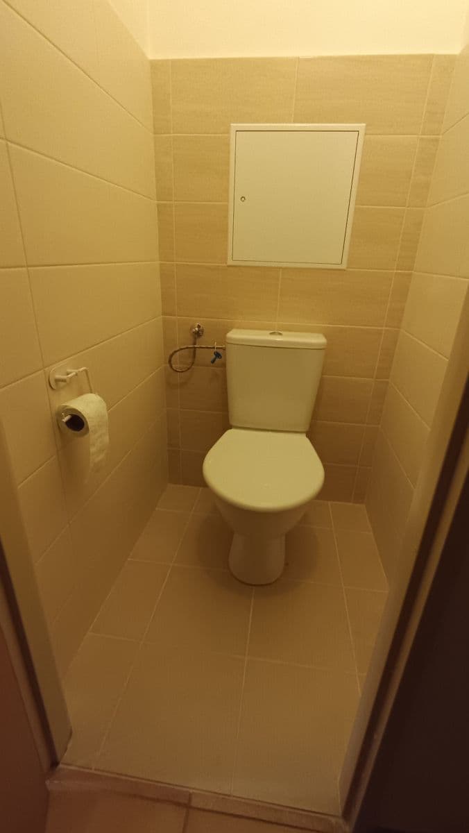 1 bedroom with open-plan kitchen flat for sale, 45 m², Famfulíkova, Prague, Prague 1 bedroom with open-plan kitchen flat for sale, 45 m², Famfulíkova, Prague, Prague